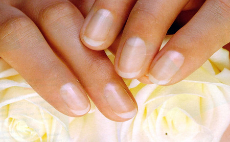 rose manicure - rose, white, photo, nails