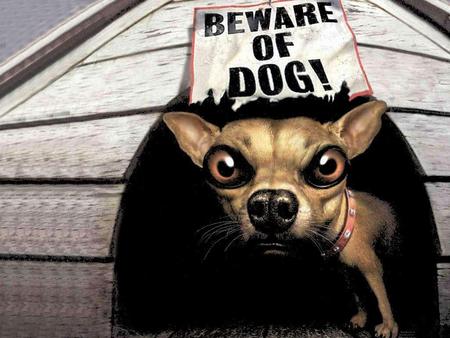 Beware Of Dog !!! - abstract, 3d-art, beware, funny, dog, signboard