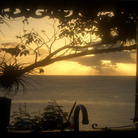 Kitchen Window View