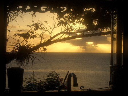 Kitchen Window View - trees, sunset, view, window, sea, kitchen