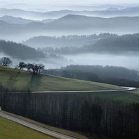 Beautiful Foggy Nature !!!