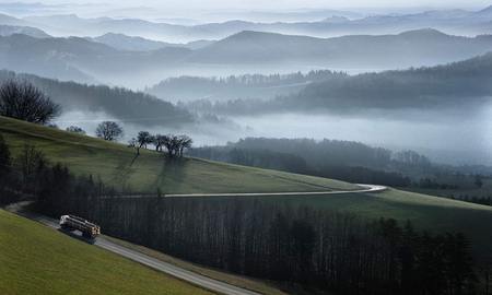 Beautiful Foggy Nature !!! - fog, road, wds, plant, truck, widescreen, nature, green, field