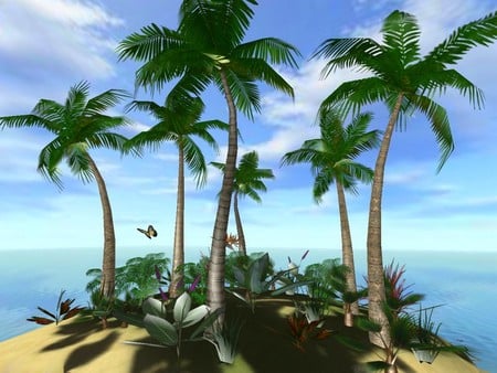 3D Island - palms, island, 3d, ocean, sky