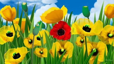 One Red Poppy - summer, red, flowers, yellow, sky, poppies, clouds, firefox persona, poppy