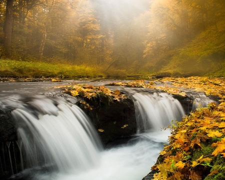 Triple Falls Oregon - autumn, trees, sun, water, white, yellow, river, green, grass, falls, light, daylight, day, waterfalls, oregon, nature, forest, leaves