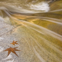 Romero Pools Arizona