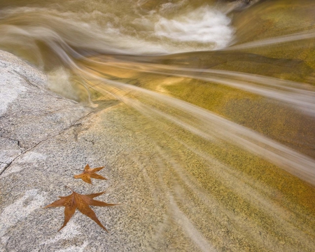 Romero Pools Arizona - river, water, nature, flowing, raped, rock, leaf