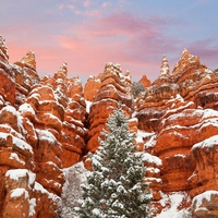 Red Canyon Utah