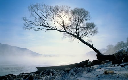 lonely tree - lake, sky, sun, winter, black, blue, clouds, fog, tree, land, boat