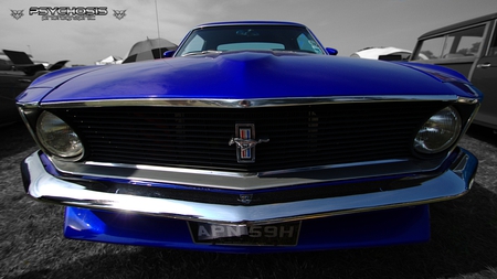 Ford Mustang - american, muscle car, mustang, car, blue, ford, ford mustang