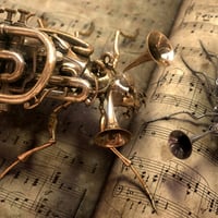 music insects