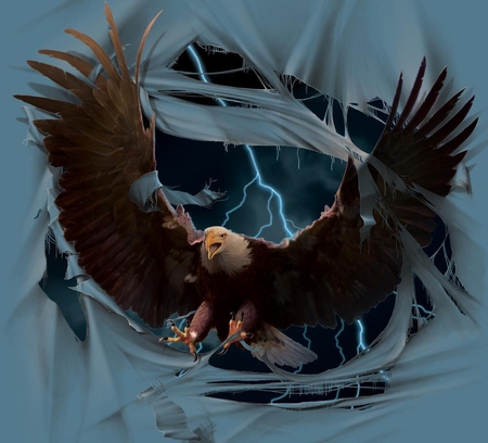 Breakthrough Eagle - bird, eagle, wing, flying, digital art