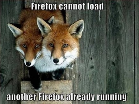 Firefox Error - error, fire, fox, loading