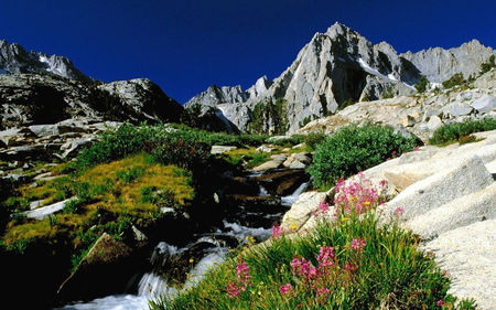 MOUNTAIN RIVER - snow, mountins, river, flawers