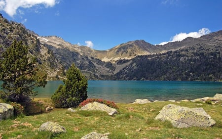 MOUNTAIN LAKE - nature, lake, forest, moutains