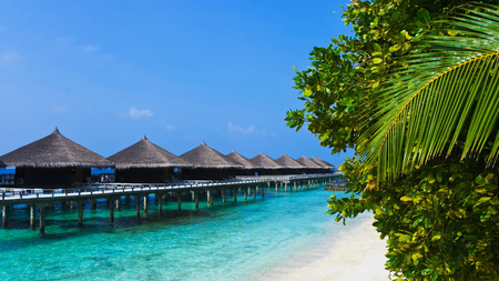 Beach Huts - picture, beach, huts, beautiful