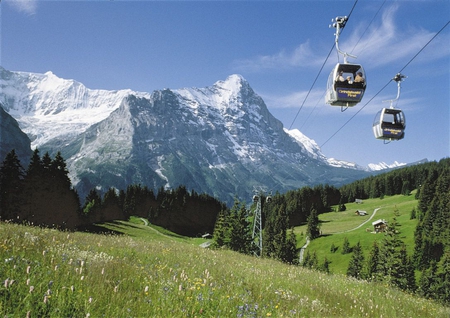 GRINDELWALD CABLE CAR - snow, mountains, nature, cable car