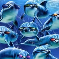 Dolphins