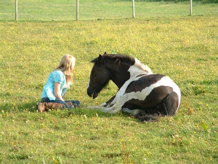 Confidencias mutuas - summer, blue, brown, girl, blonde, friendship, friend, love, hourse, wonderful, green, field, words, sunny day, animals