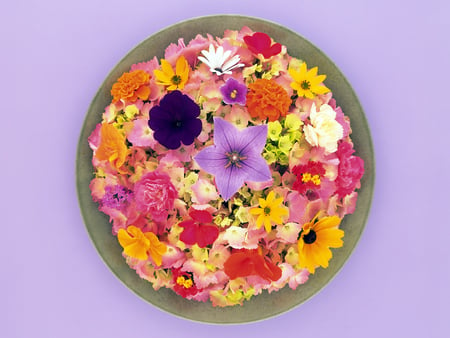 flowers is serve - flowers, plate, bloom, pretty