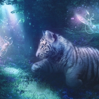 White Tiger