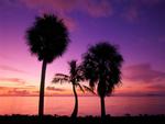 Florida-Bay-Sunrise