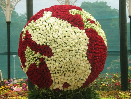 Un mundo de rosas - red, beautiful, flowers, life, love, earth, forever, white, roses, peace, wonderful, nature, sunshine