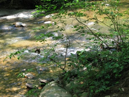 Little Otter Creek - va, otter creek, peaks of otter, little otter creek, blue ridge parkway, parkway