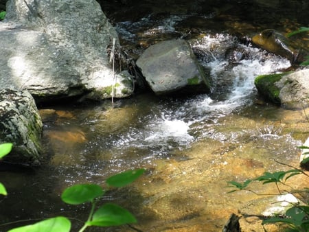 Otter Creek - va, otter creek, peaks of otter, little otter creek, blue ridge parkway, parkway