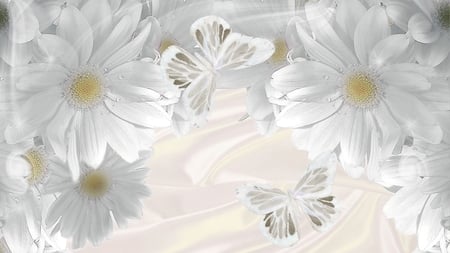 Innocence - innocence, summer, chamomile, dew, white, purity, butterfly, flowers, firefox persona, buttrflies