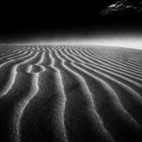 Grey Land