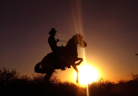 Australia cowboy - people, cowboy, other, beautiful