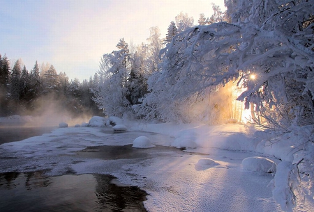 Winter Morning - morning, winter, picture, cool