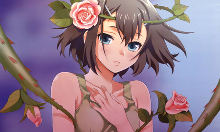 Anime Girl - roses, anime, anime girl, original, cute girl, blue eyes