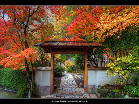 JANPAN IN THE FALL - fall, house, japan, architecture