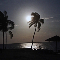 Bahamian Midnight