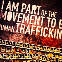 end human trafficing