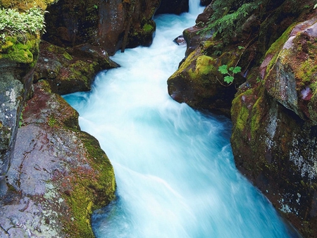 avalanche creek, mt - stream, water, blue, rocks