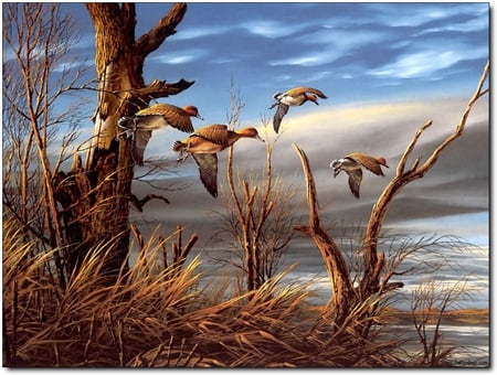 nature in art - duck, water, nature, lake, oilpaintint, art