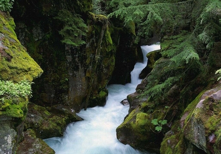 Waterrall - nature, waterfall, other, beautiful