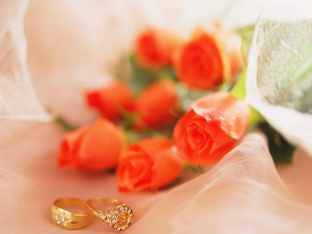 Match made in Heaven !! - roses, ring, wishes, engagement