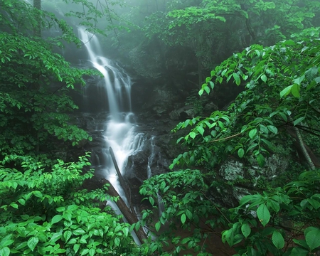 Doyles River Falls Virginia - virginia, falls, trees, water, waterfall, rocks, nature, bark, white, forest, river, leaves, green, rock