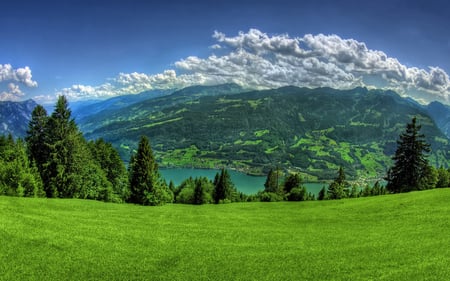 SWISS ALPS - alps, nature, swiss, trees