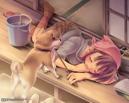 Sleeping girl - tail, sleeping, girl, kawai, cool, dog, anime, animal, cute