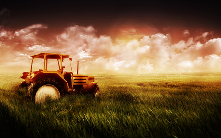 The truck in the grass - green, sky, grass, truck