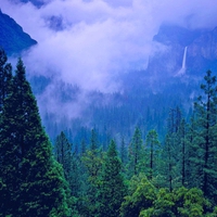 Spring Storm in Yosemite Valley National Park, California