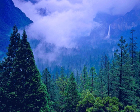 Spring Storm in Yosemite Valley National Park, California - california, forest, yosemite, valley, national, land, clouds, trees, mountain, park