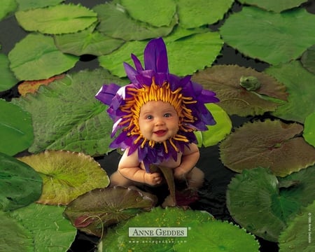 AnneGeddes - water, yellow, pads, flower, baby, sweet, lily, purple, green, cute, adorable, face