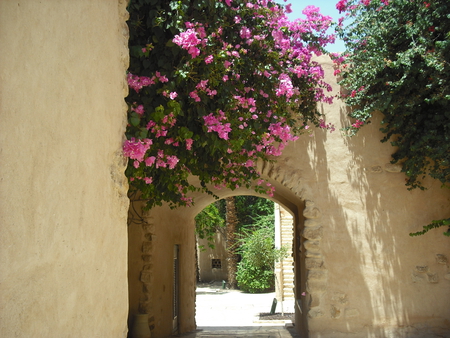 a welcoming entrance - house, roses, welcome, jordan, entrance, dead sea