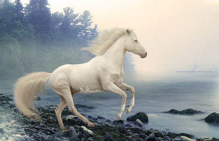 JERETH THE WWHITE STALLION - hores, stallion, white, animal